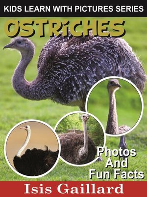 cover image of Ostriches Photos and Fun Facts for Kids